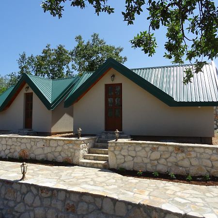 Apartmani Vinici Danilovgrad Exterior photo